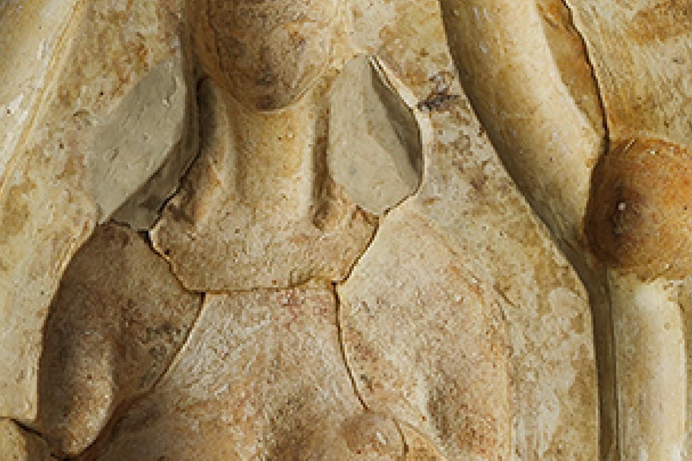 Vignette objet du mois juin 2025