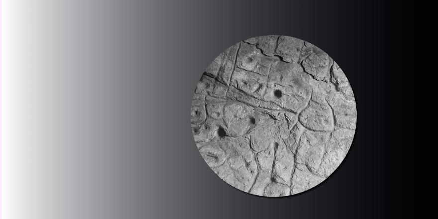 Bandeau conférence dalle de Saint Bélec