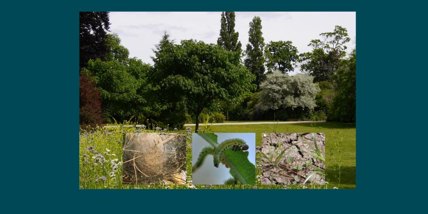 Bandeau visite jardiniers RDVJ 2022