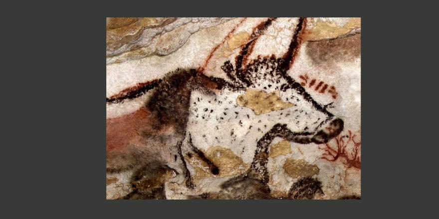 Bandeau conférence SAMAN octobre 2022