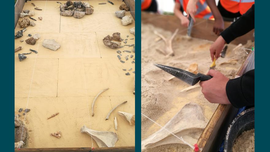 Bandeau atelier découverte archéologie