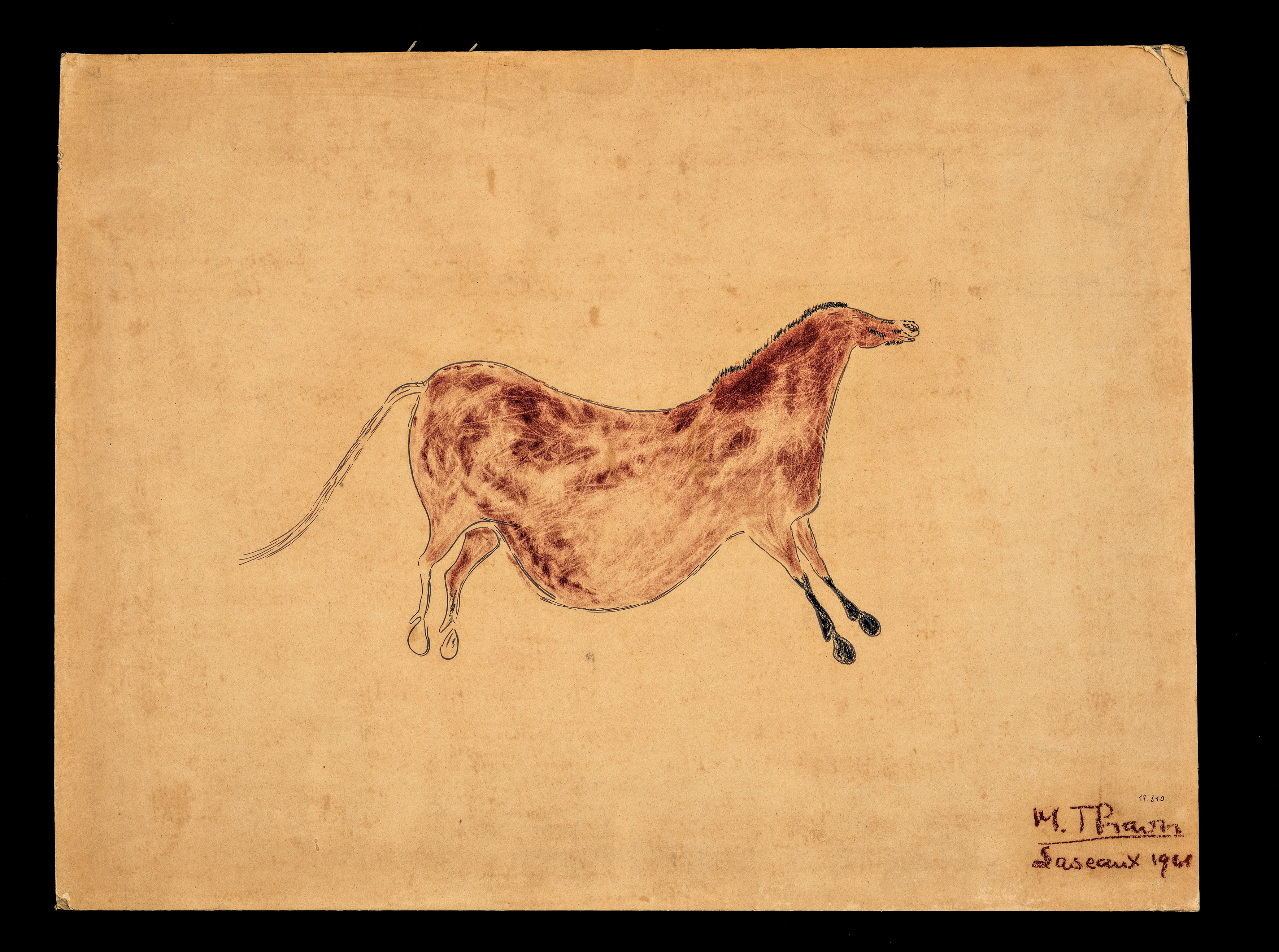 Relevé Lascaux - M. Thaon - Plafond : cheval rouge, crinière et pattes avant noires