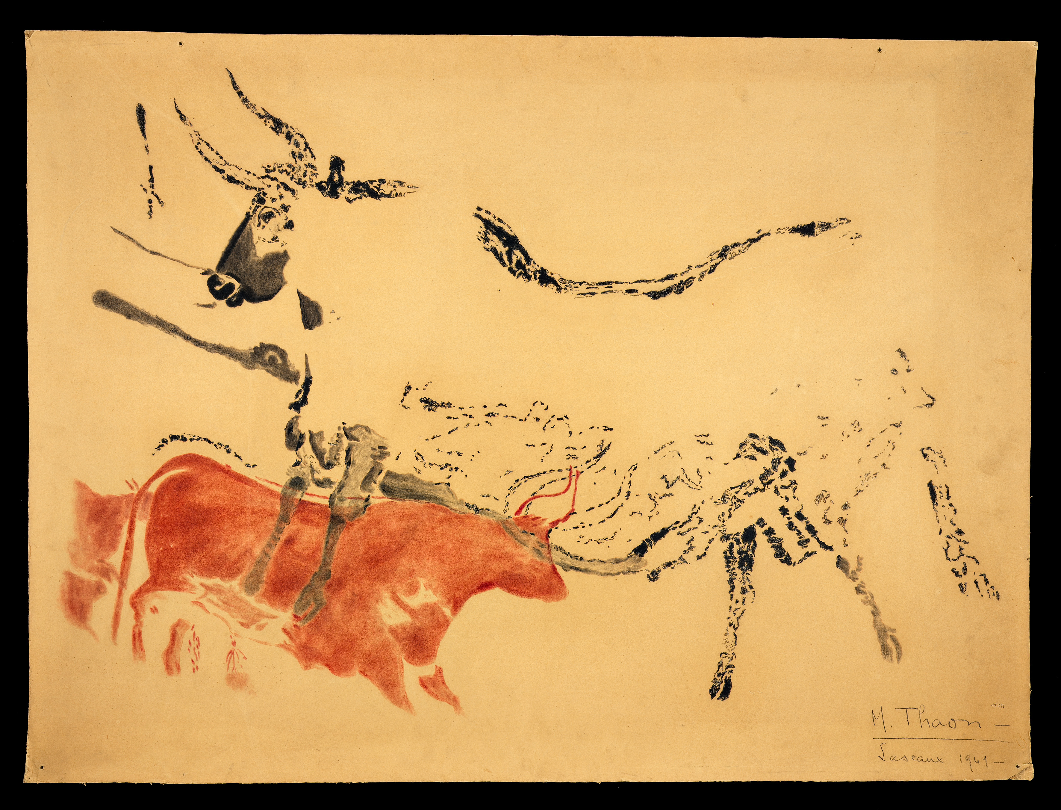 Relevé Lascaux - M. Thaon - Grand taureau blanc passant à gauche et petit taureau rouge