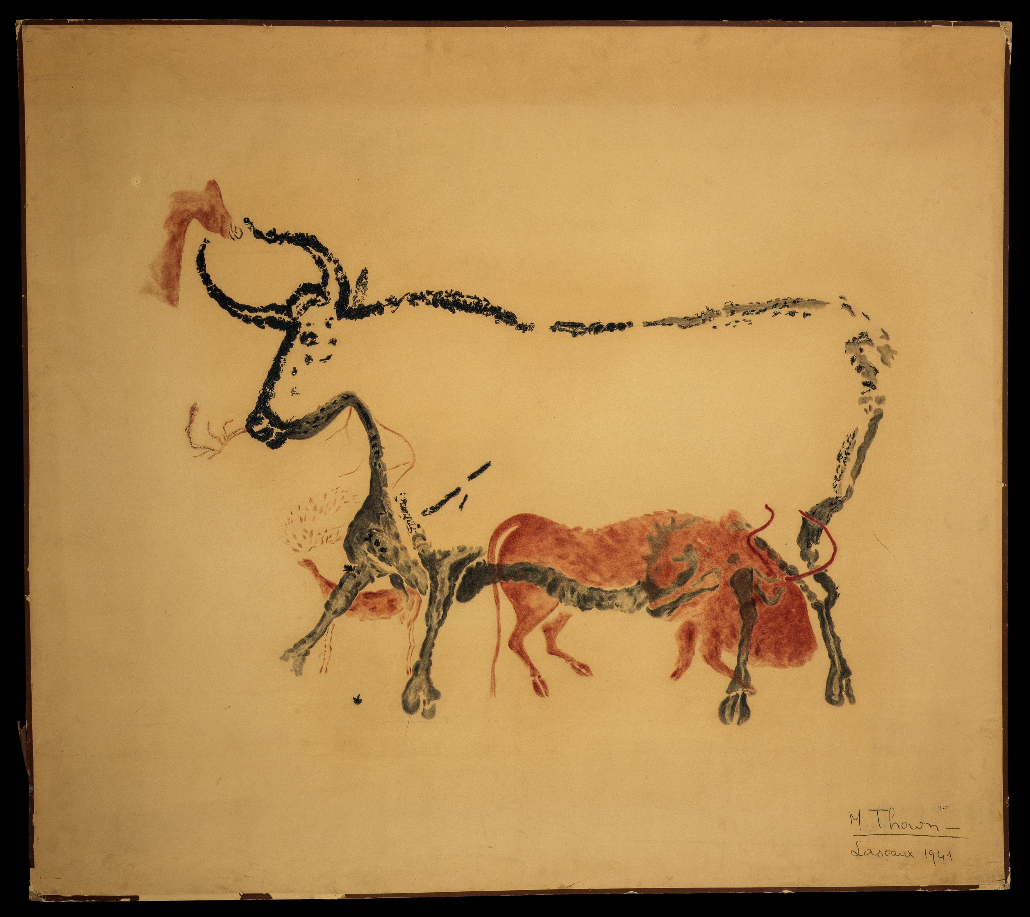 Relevé Lascaux - M. Thaon - Premier taureau passant à gauche, vache rouge et petit cerf rouge entre les pattes avant du taureau