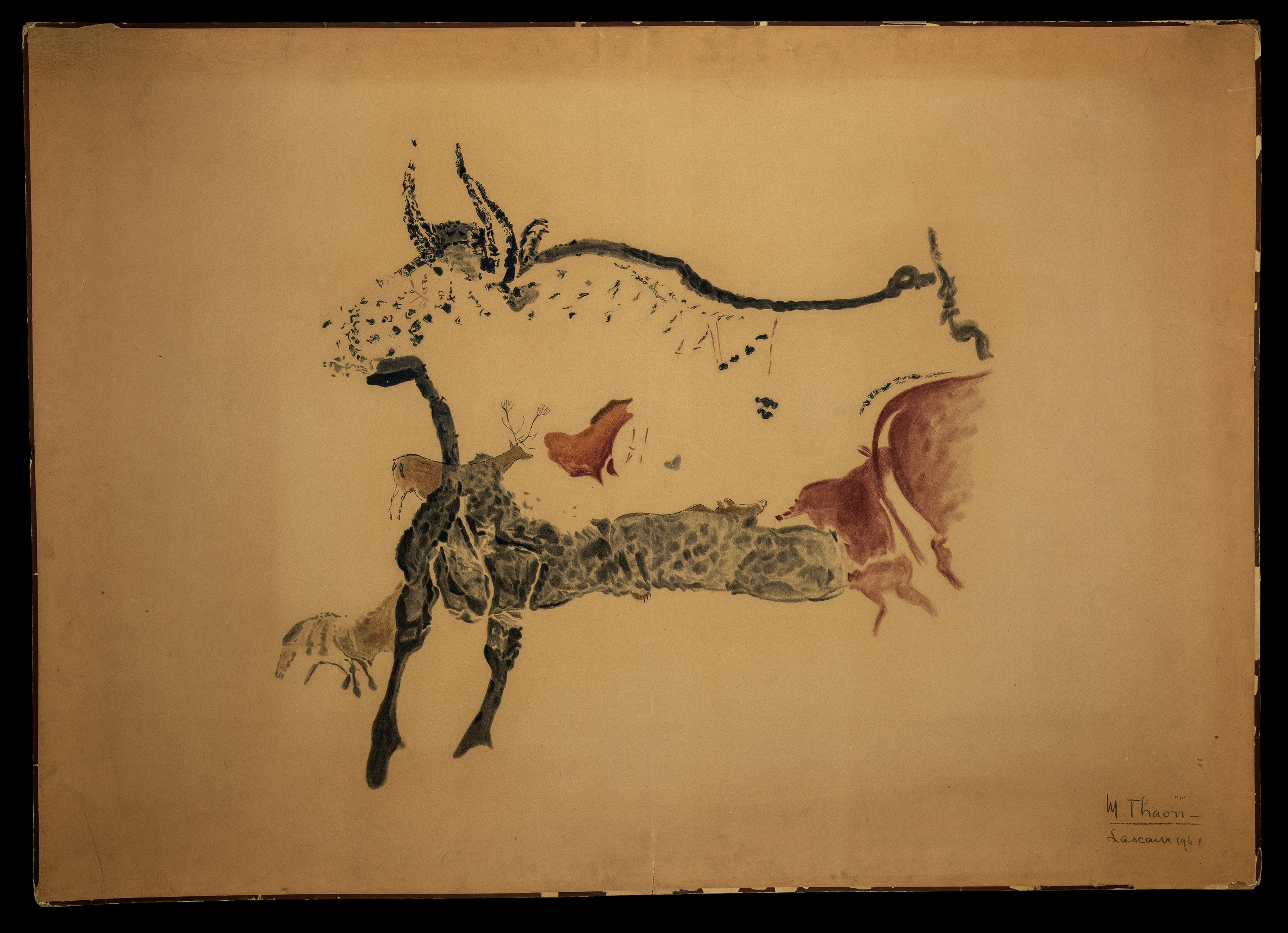 Relevé Lascaux - M. Thaon - Deuxième taureau passant à gauche avec plusieurs animaux en superposition, cerf, chevaux et arrière-train de bovidé