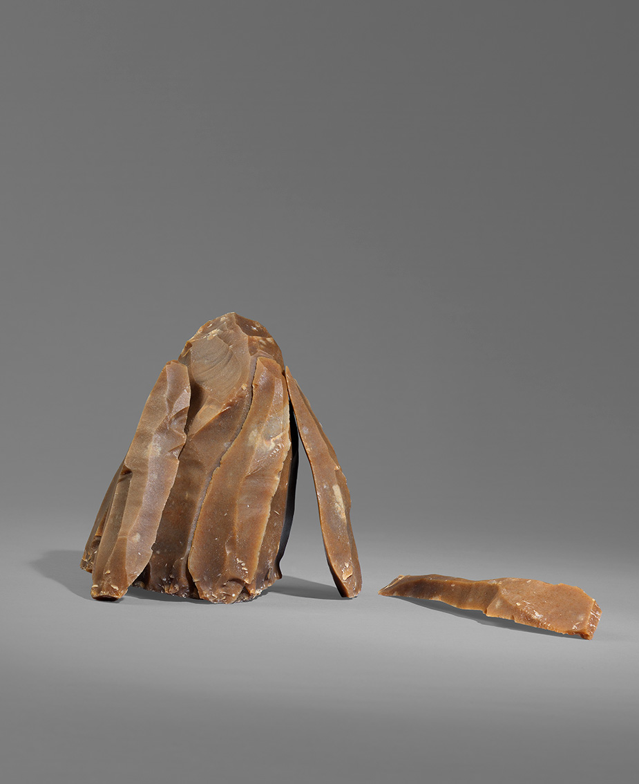 Nucleus et quatre lames