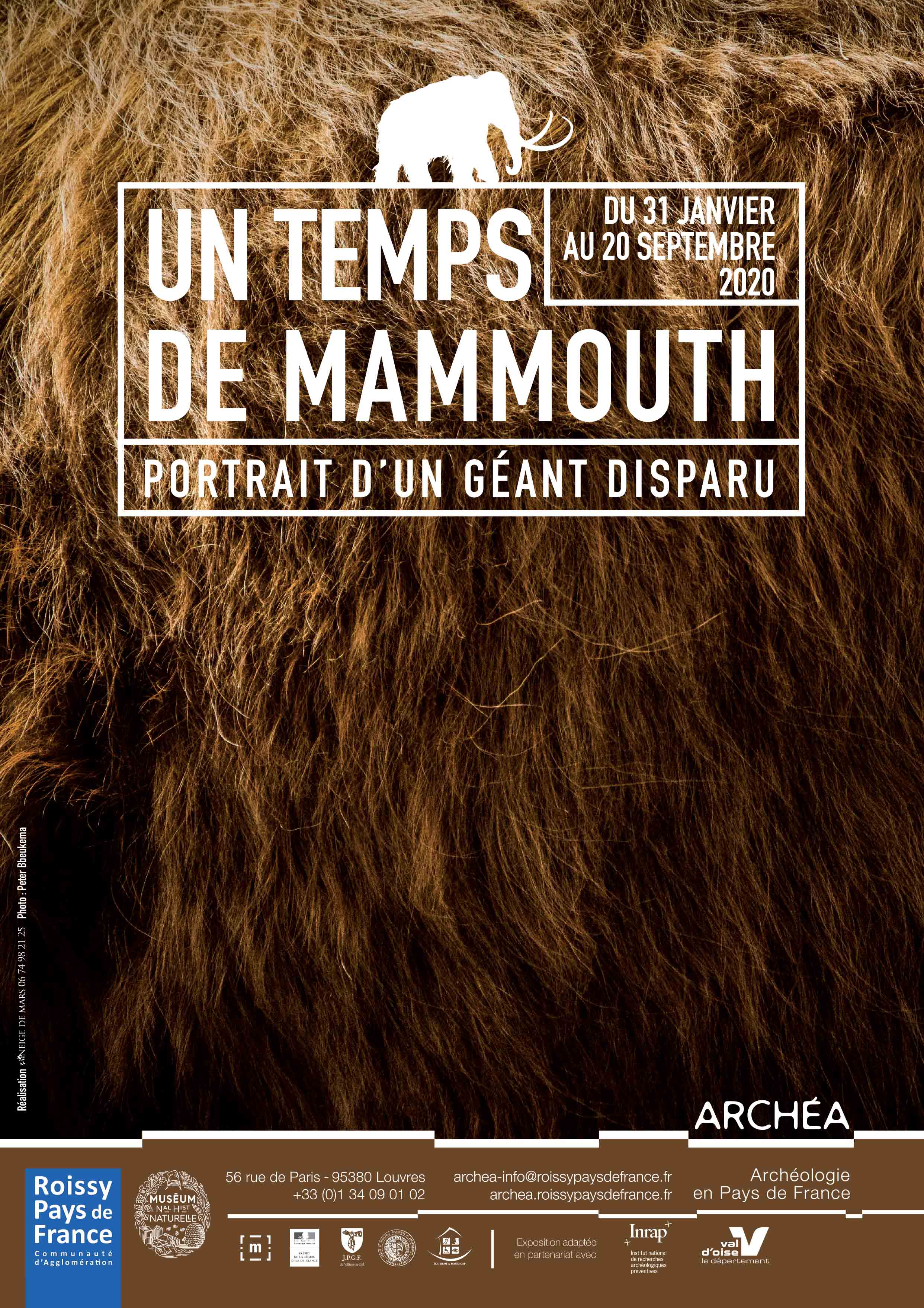 c_affiche_expo_mammouth_archea.jpg