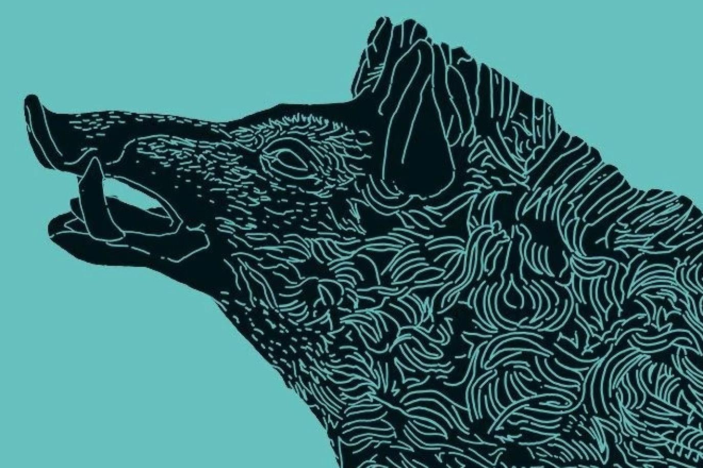 Vignette exposition Gaulois mais Romains