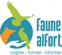 Logo Faune Alfort