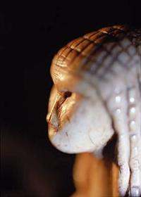 Photo Dame de Brassempouy