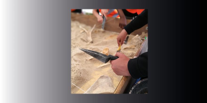 Bandeau ArkéoMédia fouilles