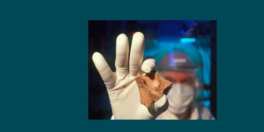 Bandeau conférence AFAM 2022