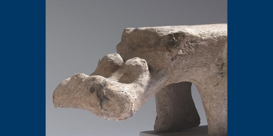 Bandeau atelier hippopotame