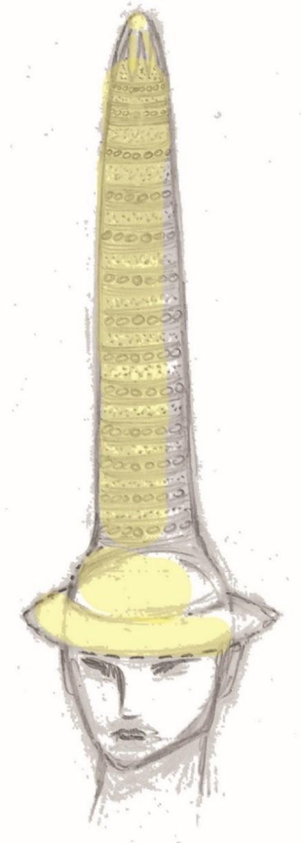 Dessin de reconstitution du cône d'Avanton