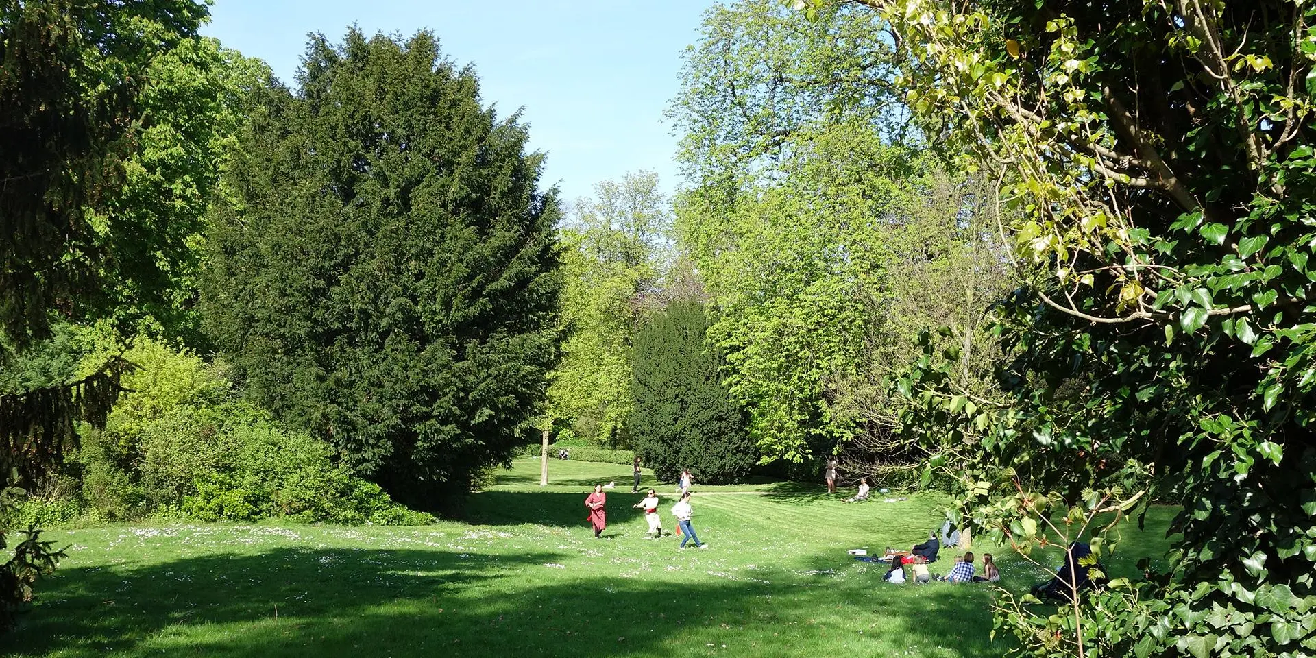 Jardin anglais