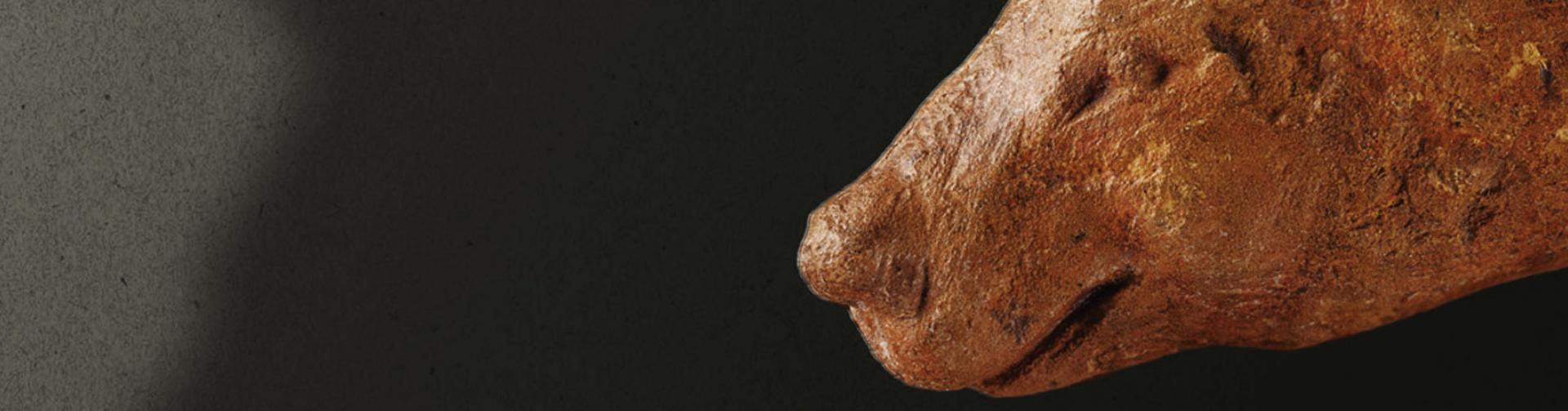 exposition L'ours dans l'art préhistorique
